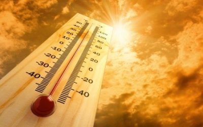 Beat the Heat: Summer Heat Safety Tips