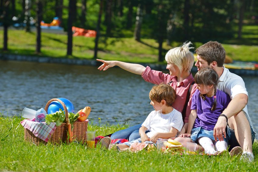 Picnic family