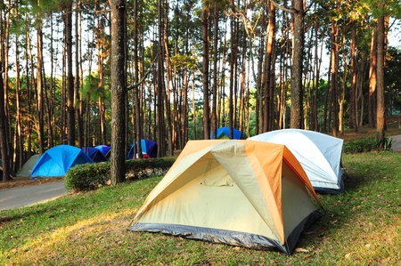 15 Tips for a Successful Camping Trip